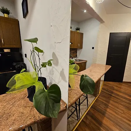 Loft Apartment